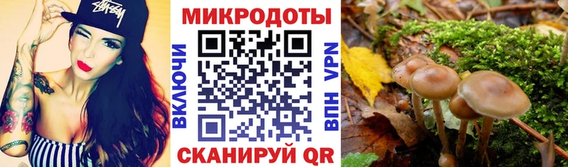 Галлюциногенные грибы Cubensis  KRAKEN рабочий сайт  Никольск 